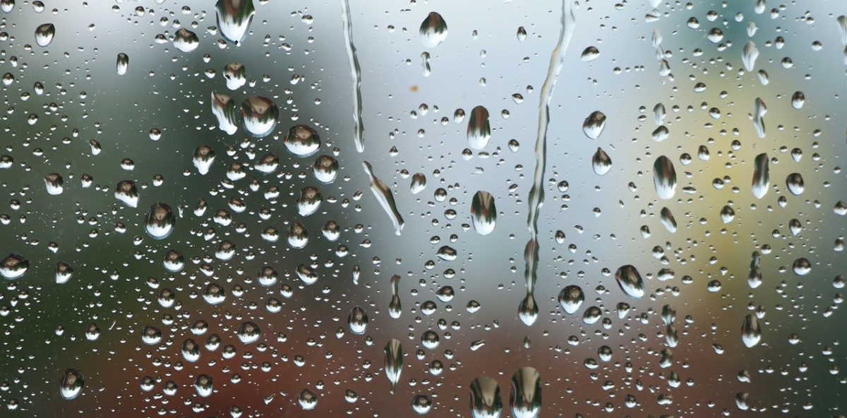 Rain or shine: plans to avoid boredom this weekend in the Dominican Republic